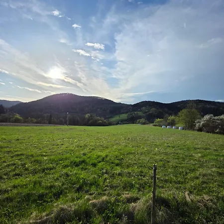 Niedzwiadka Beskid Niski Holiday home *